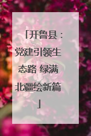 开鲁县：党建引领生态路 绿满北疆绘新篇